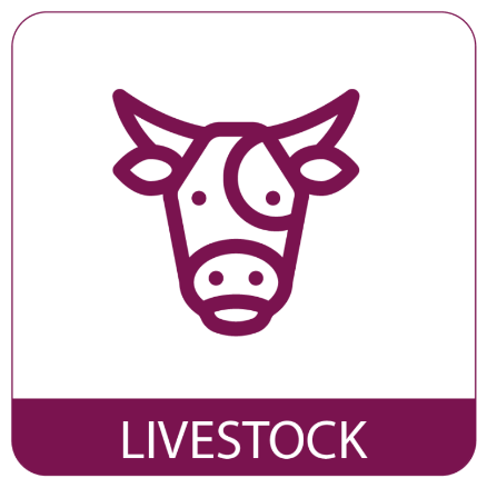 Classified Ads Livestock Button