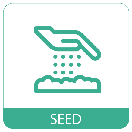 Classified Ads Seed Button